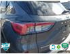 2022 Ford Escape Titanium Hybrid (Stk: B250230) in Hamilton - Image 9 of 23
