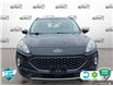 2021 Ford Escape SEL Hybrid (Stk: A250047) in Hamilton - Image 2 of 23