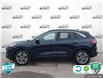 2021 Ford Escape SEL Hybrid (Stk: A250047) in Hamilton - Image 3 of 23
