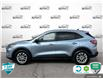 2022 Ford Escape SE Hybrid (Stk: P7154) in Oakville - Image 3 of 24