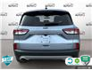 2022 Ford Escape SE Hybrid (Stk: P7154) in Oakville - Image 5 of 24