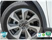 2024 Ford Escape Platinum (Stk: 502460) in St. Catharines - Image 6 of 27
