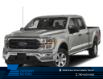 2023 Ford F-150 XLT (Stk: 23LT181) in St.Paul - Image 1 of 12
