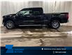 2024 Ford F-150 XLT (Stk: 24LT183) in St.Paul - Image 1 of 10