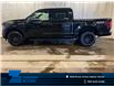 2025 Ford F-150 XLT (Stk: 25LT27) in St.Paul - Image 1 of 10