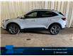 2025 Ford Escape ST-Line Select (Stk: 25ES13) in St.Paul - Image 1 of 10