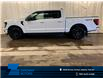 2025 Ford F-150 XLT (Stk: 25LT83) in St.Paul - Image 1 of 10