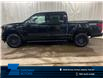 2025 Ford F-150 XLT (Stk: 25LT96) in St.Paul - Image 1 of 10