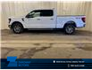 2025 Ford F-150 XLT (Stk: 25LT87) in St.Paul - Image 1 of 10