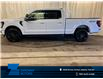 2025 Ford F-150 XLT (Stk: 25LT150) in St.Paul - Image 1 of 10