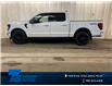 2025 Ford F-150 XLT (Stk: 25LT177) in St.Paul - Image 1 of 10