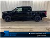 2025 Ford F-150 XLT (Stk: 25LT183) in St.Paul - Image 1 of 10
