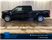 2026 Ford F-150 XLT (Stk: 26LT14) in St.Paul - Image 1 of 10