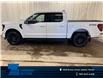 2026 Ford F-150 XLT (Stk: 26LT43) in St.Paul - Image 1 of 10