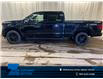 2026 Ford F-150 XLT (Stk: 26LT37) in St.Paul - Image 1 of 10