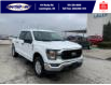 2023 Ford F-150 XLT (Stk: SFF7915) in Leamington - Image 2 of 27