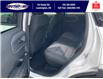 2024 Ford Bronco Sport Big Bend (Stk: SPBR00025A) in Leamington - Image 17 of 29