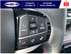 2025 Ford Explorer ST (Stk: SPEX00186) in Leamington - Image 19 of 31