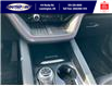 2025 Ford Explorer ST (Stk: SPEX00186) in Leamington - Image 23 of 31