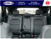 2025 Ford Escape ST-Line Select (Stk: LFEP00436) in Leamington - Image 23 of 28