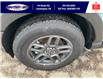 2025 Ford Bronco Sport Big Bend (Stk: LFBS00636) in Leamington - Image 11 of 27
