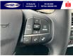 2025 Ford Bronco Sport Big Bend (Stk: LFBS00636) in Leamington - Image 18 of 27