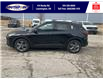 2025 Ford Escape ST-Line (Stk: SPEP00220) in Leamington - Image 8 of 27