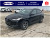 2025 Ford Escape ST-Line (Stk: SPEP00220) in Leamington - Image 9 of 27