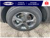 2025 Ford Escape ST-Line (Stk: SPEP00220) in Leamington - Image 11 of 27