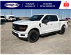 2025 Ford F-150 XLT (Stk: SPFF00278) in Leamington - Image 9 of 27