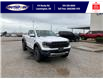 2024 Ford Ranger Raptor (Stk: LFRA00389) in Leamington - Image 2 of 28