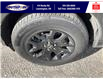 2025 Ford Bronco Sport Big Bend (Stk: SPBS00199) in Leamington - Image 11 of 28
