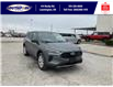 2025 Ford Escape ST-Line (Stk: SPEP00296) in Leamington - Image 2 of 26