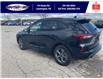 2024 Ford Escape ST-Line (Stk: SP00165T) in Leamington - Image 8 of 31
