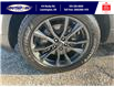 2019 Ford Explorer XLT (Stk: SPMU29971B) in Leamington - Image 11 of 38