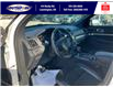 2019 Ford Explorer XLT (Stk: SPMU29971B) in Leamington - Image 27 of 38