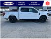 2025 Ford F-150 XLT (Stk: SPFF00365) in Leamington - Image 3 of 27