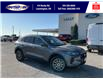 2024 Ford Escape PHEV (Stk: SP00176M) in Leamington - Image 1 of 35