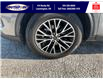 2024 Ford Escape PHEV (Stk: SP00176M) in Leamington - Image 11 of 35