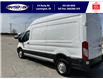 2024 Ford Transit-250 Cargo Base (Stk: SP00174T) in Leamington - Image 8 of 27