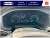 2024 Ford Transit-250 Cargo Base (Stk: SP00174T) in Leamington - Image 20 of 27
