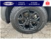 2023 Ford Explorer Timberline (Stk: SPEP00359A) in Leamington - Image 11 of 36