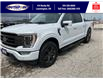 2022 Ford F-150 Lariat (Stk: SP00179R) in Leamington - Image 10 of 35