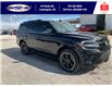 2024 Ford Expedition Limited (Stk: SP00171T) in Leamington - Image 1 of 35
