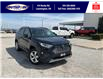 2019 Toyota RAV4 Hybrid Limited (Stk: SP00154T) in Leamington - Image 1 of 30