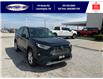 2019 Toyota RAV4 Hybrid Limited (Stk: SP00154T) in Leamington - Image 2 of 30