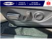 2019 Toyota RAV4 Hybrid Limited (Stk: SP00154T) in Leamington - Image 15 of 30
