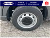 2023 Ford Transit-250 Cargo Base (Stk: SP00189T) in Leamington - Image 11 of 28