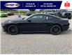 2025 Ford Mustang EcoBoost (Stk: SPMU00315) in Leamington - Image 8 of 24