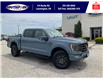 2023 Ford F-150 Tremor (Stk: SPFF00460A) in Leamington - Image 1 of 38